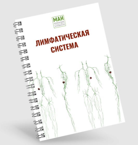 [Международная Академия Нутрициологии] Гайд по раб_0.png